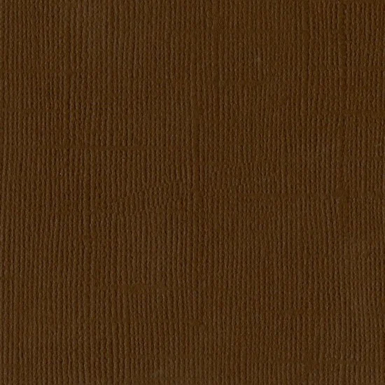 Χαρτόνι Bazzill 30cmx30cm 216g Chocolate
