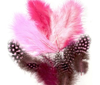 Πούπουλα mix Girl 5-13cm 18τεμ Πούπουλα mix Girl 5-13cm 18τεμ