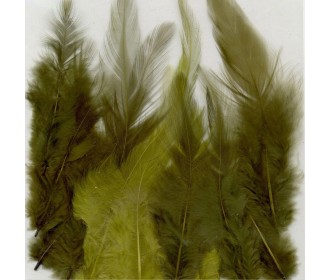 Πούπουλα forest 8,5-15cm 15τεμ Πούπουλα forest 8,5-15cm 15τεμ