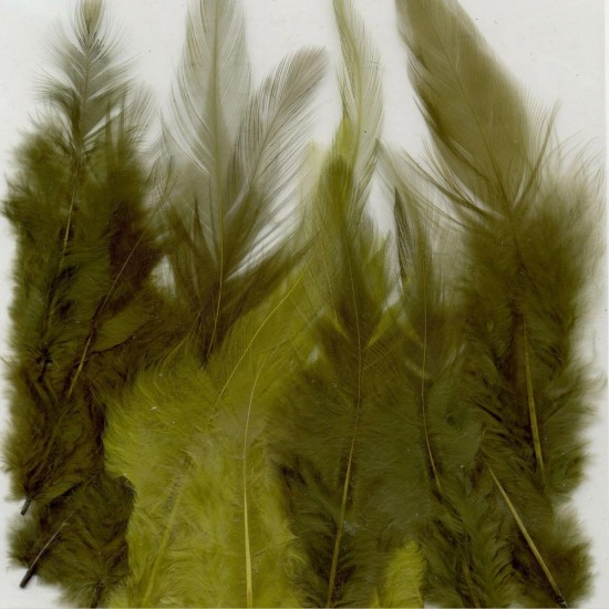 Πούπουλα forest 8,5-15cm 15τεμ Πούπουλα forest 8,5-15cm 15τεμ
