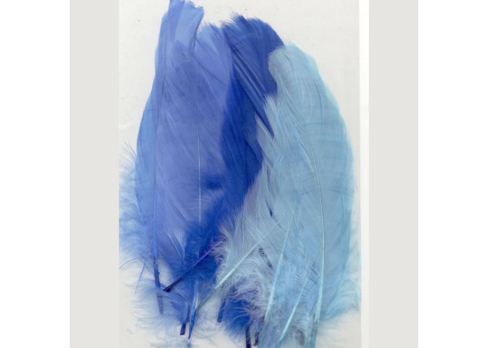 Φτερά blue 15,5-20cm 15τεμ