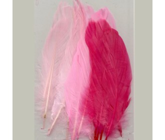 Φτερά pink 15,5-20cm 15τεμ Φτερά pink 15,5-20cm 15τεμ