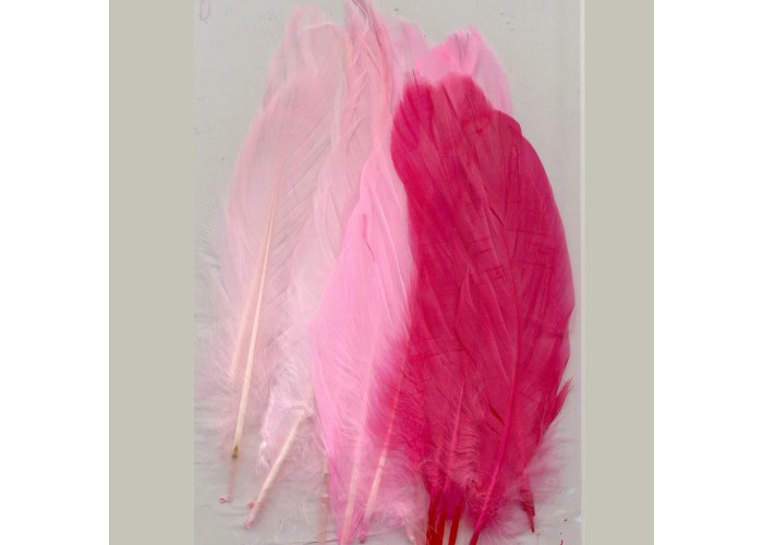 Φτερά pink 15,5-20cm 15τεμ Φτερά pink 15,5-20cm 15τεμ