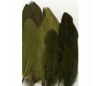 Φτερά forest 15,5-20cm 15τεμ Φτερά forest 15,5-20cm 15τεμ