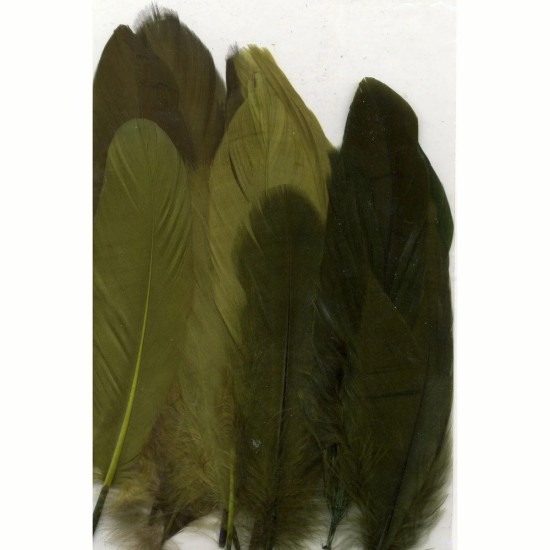 Φτερά forest 15,5-20cm 15τεμ Φτερά forest 15,5-20cm 15τεμ