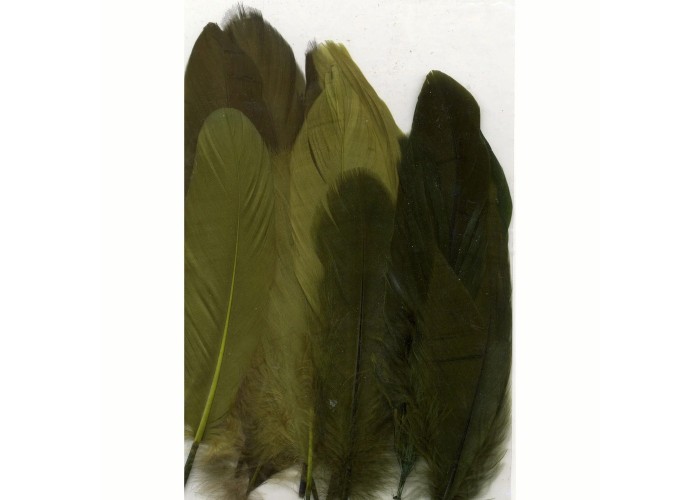 Φτερά forest 15,5-20cm 15τεμ Φτερά forest 15,5-20cm 15τεμ
