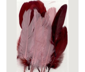 Φτερά wine 15,5-20cm 15τεμ Φτερά wine 15,5-20cm 15τεμ