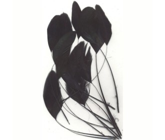 Φτερά μαύρα 15,5-18,5cm 15τεμ Φτερά μαύρα 15,5-18,5cm 15τεμ