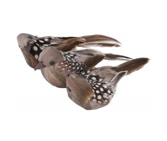 Διακοσμητικά Nature Birds με μεταλλική πιάστρα 3τεμ Διακοσμητικά Nature Birds με μεταλλική πιάστρα 3τεμ
