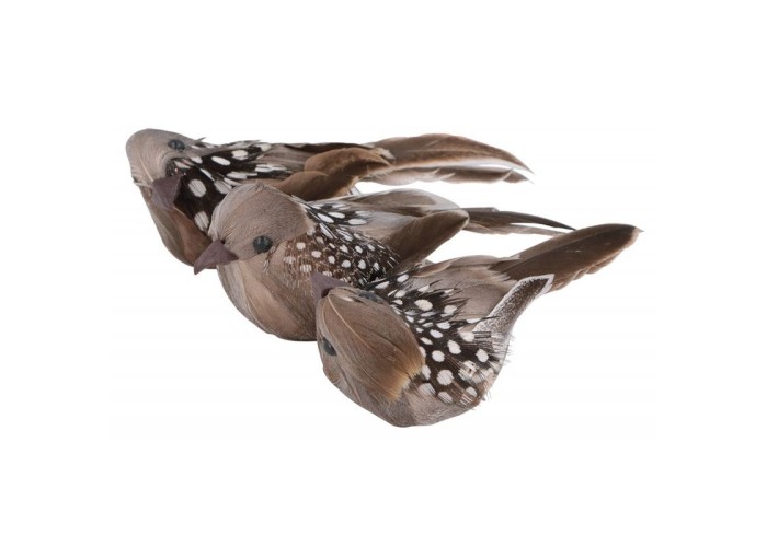 Διακοσμητικά Nature Birds με μεταλλική πιάστρα 3τεμ