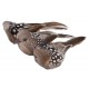 Διακοσμητικά Nature Birds με μεταλλική πιάστρα 3τεμ Διακοσμητικά Nature Birds με μεταλλική πιάστρα 3τεμ
