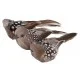 Διακοσμητικά Nature Birds με μεταλλική πιάστρα 3τεμ
