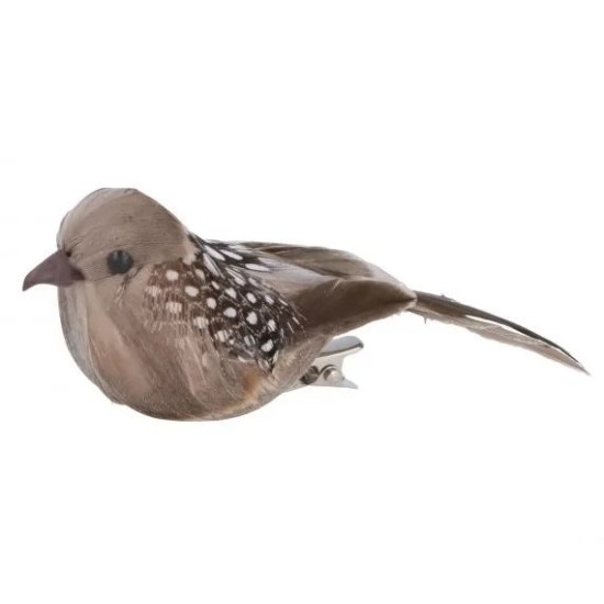 Διακοσμητικά Nature Birds με μεταλλική πιάστρα 3τεμ Διακοσμητικά Nature Birds με μεταλλική πιάστρα 3τεμ