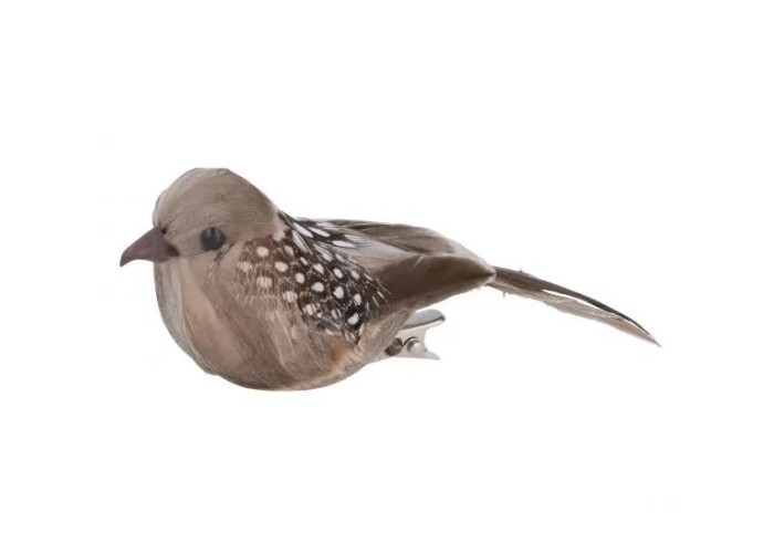 Διακοσμητικά Nature Birds με μεταλλική πιάστρα 3τεμ Διακοσμητικά Nature Birds με μεταλλική πιάστρα 3τεμ