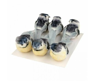 Σετ 6 πουλάκια μπλε Σετ 6 πουλάκια μπλε