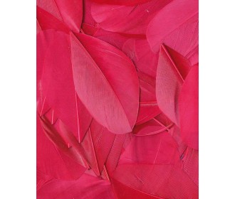 Φτερά 6cm Φούξια 3gr Φτερά 6cm Φούξια 3gr