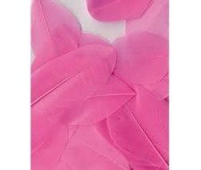Φτερά 6cm Ροζ 3gr Φτερά 6cm Ροζ 3gr