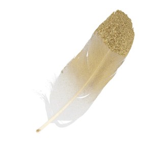 Χρυσά Φτερά με glitter 6τεμ 11,5cm Χρυσά Φτερά με glitter 6τεμ 11,5cm