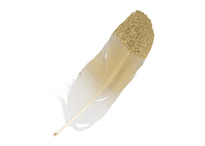 Χρυσά Φτερά με glitter 6τεμ 11,5cm Χρυσά Φτερά με glitter 6τεμ 11,5cm