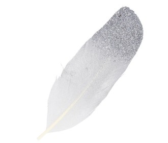 Ασημί Φτερά με glitter 6τεμ 11,5cm Ασημί Φτερά με glitter 6τεμ 11,5cm
