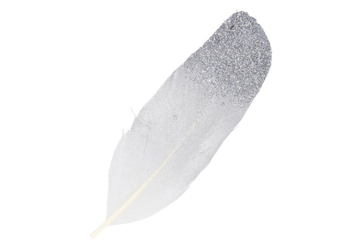 Ασημί Φτερά με glitter 6τεμ 11,5cm Ασημί Φτερά με glitter 6τεμ 11,5cm