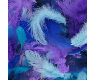 Πούπουλα Mix Μπλε-Μωβ 10g Πούπουλα Mix Μπλε-Μωβ 10g