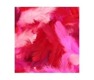 Πούπουλα mix ροζ 10gr