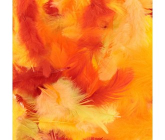 Πούπουλα mix fire 10gr