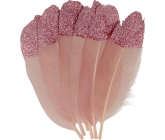 Dusty Pink Φτερά με glitter 6τεμ 11,5cm Dusty Pink Φτερά με glitter 6τεμ 11,5cm