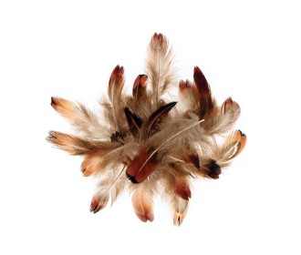 Φτερά φασιανού 3-5 cm - 3 g Φτερά φασιανού 3-5 cm - 3 g