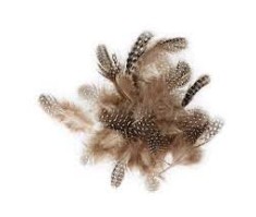 Φτερά φραγκόκοτας 3-6 cm - 3 g Φτερά φραγκόκοτας 3-6 cm - 3 g