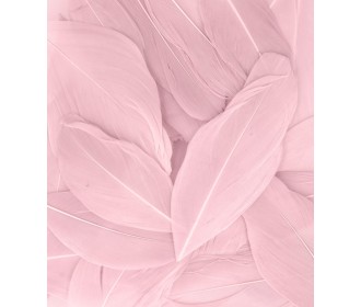 Φτερά 3gr 6cm σάπιο μήλο Φτερά 3gr 6cm σάπιο μήλο