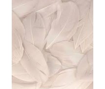 Φτερά 3gr 6cm grey pearl Φτερά 3gr 6cm grey pearl