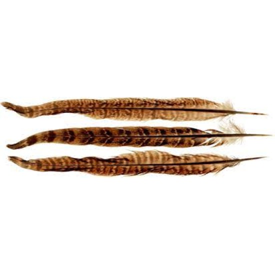 Φτερά Φασιανού σετ 6τμχ 25-30cm