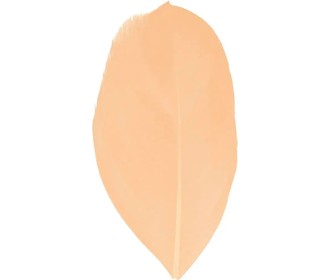 Φτερά 3gr 6cm σομον  Φτερά 3gr 6cm σομον