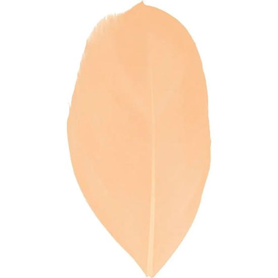 Φτερά 3gr 6cm σομον 