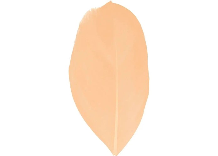 Φτερά 3gr 6cm σομον Φτερά 3gr 6cm σομον