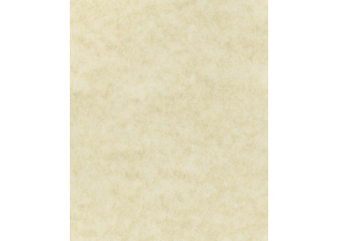 Χαρτί marina conchiglia 175γρ. 20φ. 50x70εκ.