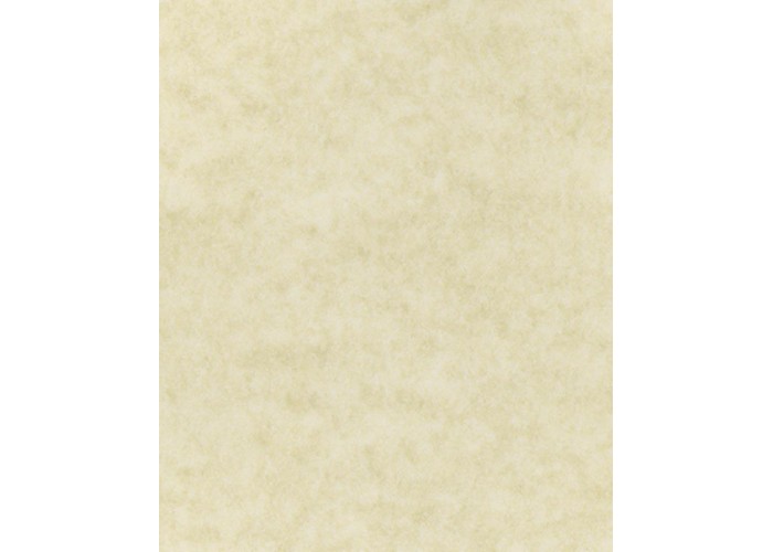 Χαρτί marina conchiglia 175γρ. 20φ. 50x70εκ. Χαρτί marina conchiglia 175γρ. 20φ. 50x70εκ.