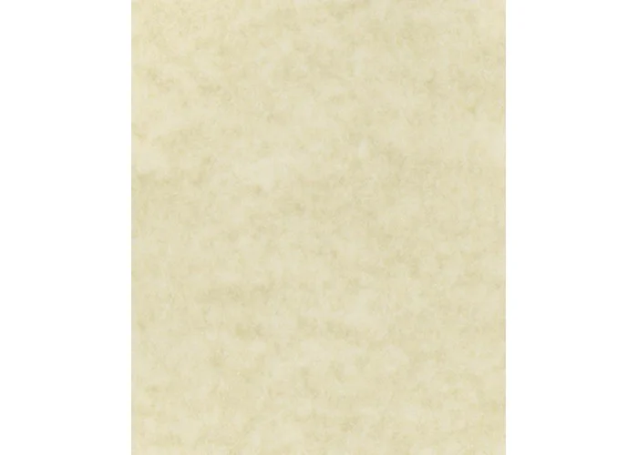 Χαρτί marina conchiglia 175γρ. 20φ. 50x70εκ.