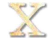 ΓΡΑΜΜΑ 'X' ΓΡΑΜΜΑ 'X'