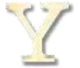 ΓΡΑΜΜΑ 'Y' ΓΡΑΜΜΑ 'Y'