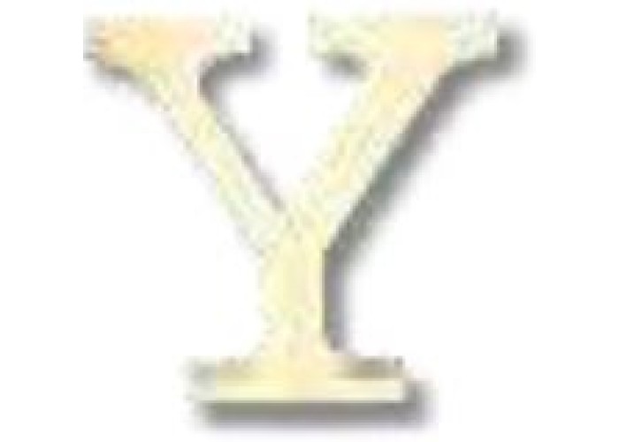 ΓΡΑΜΜΑ 'Y' ΓΡΑΜΜΑ 'Y'