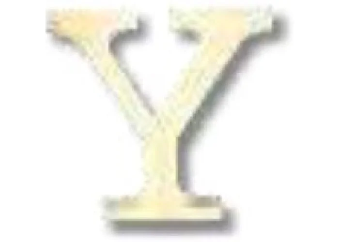 ΓΡΑΜΜΑ 'Y' ΓΡΑΜΜΑ 'Y'