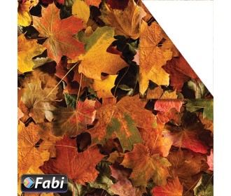 Κολάζ με φόντο φθινόπωρο  Κολάζ με φόντο φθινόπωρο