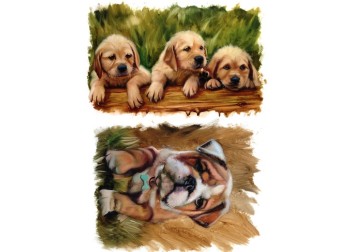 Χαρτί Decoupage Paper - A4 Χαρτί Decoupage Paper - A4