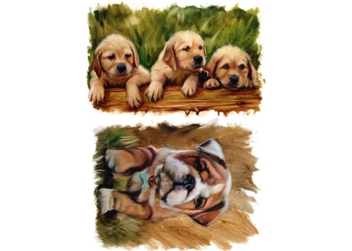 Χαρτί Decoupage Paper - A4 Χαρτί Decoupage Paper - A4