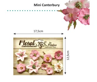 Λουλούδια mini canterbury ροζ - 9τεμ  Λουλούδια mini canterbury ροζ - 9τεμ