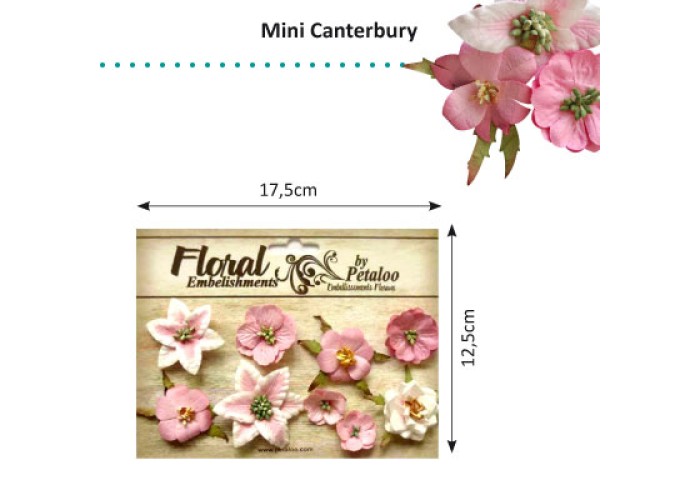 Λουλούδια mini canterbury ροζ - 9τεμ Λουλούδια mini canterbury ροζ - 9τεμ