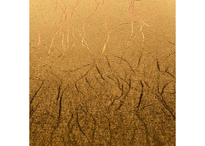 Cricut Premium Vinyl ™ Textured Metallic, Gold 30.5cm x 122cm Cricut Premium Vinyl ™ Textured Metallic, Gold 30.5cm x 122cm